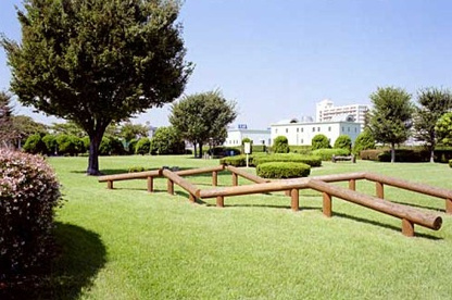 芝浦中央公園の画像1