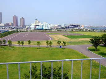 東京臨海広域防災公園の画像1