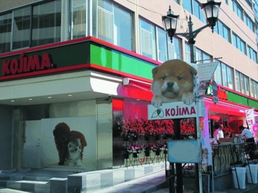 ペットの専門店コジマ六本木店の画像1