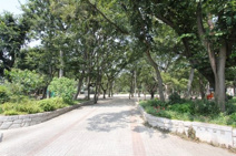 大泉公園