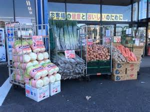 フードランドレオ誉田店情報ページ ジャパンレジデンシャル不動産株式会社