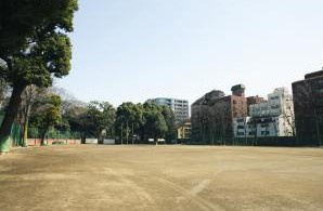 文京区役所区民施設後楽公園少年野球場の画像1