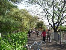 びくに公園の画像2