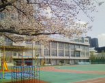 豊海小学校