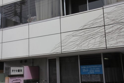 こがねいカイロプラクティックの画像1