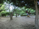  御滝公園の画像