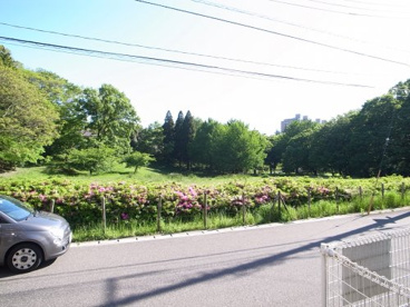 みつわ台公園の画像3