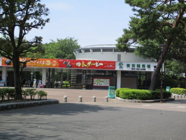 東京競馬場の画像1