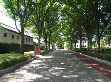 郷土の森公園の画像1