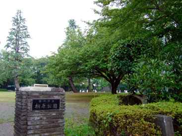 桐原公園の画像1