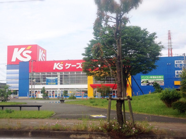 ケーズデンキ成田本店の画像1