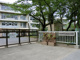 藤崎幼稚園の画像