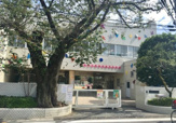 新所沢幼稚園