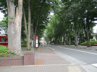 成蹊大学の画像2