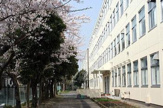 横浜市立　上郷中学校