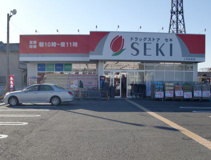 ドラッグストアセキ上日出谷店