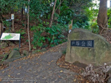 公園 戸塚公園