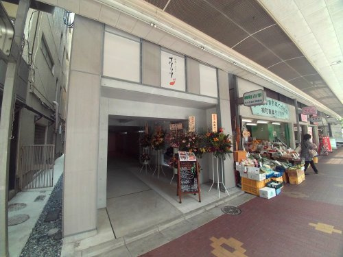 フリッツの画像