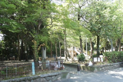 阿比太公園の画像4