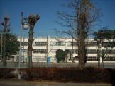国分寺市立 第八小学校