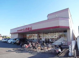 ファッションセンター しまむら伏見店