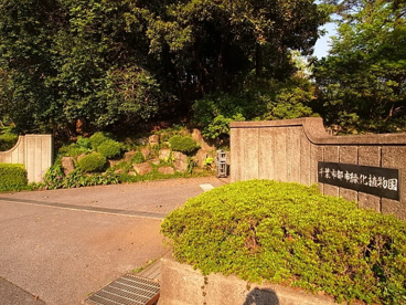 千葉市都市緑化植物園の画像2