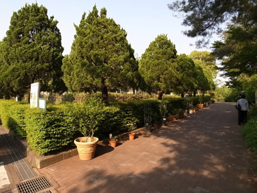 千葉市都市緑化植物園の画像3