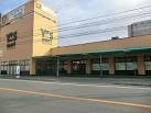 ワイズマート西船本郷店