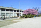  向島小学校