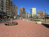 常盤公園