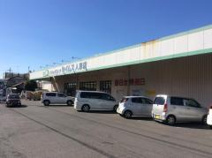 ドラッグセイムス人形店