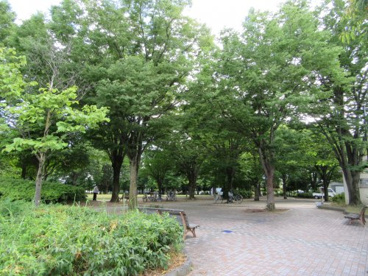 池田公園の画像4