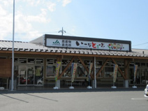 いーなとうぶ竜王