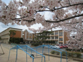 義方小学校