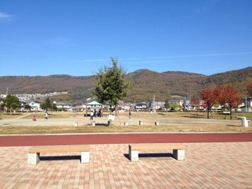 千塚公園の画像4