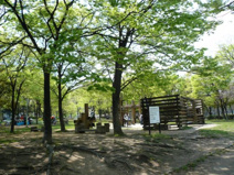 上田西公園