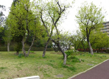 柊塚古墳歴史広場