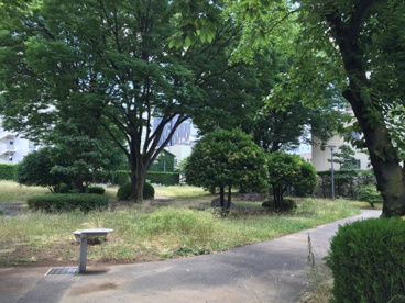 丸の内公園（甲府市）の画像2