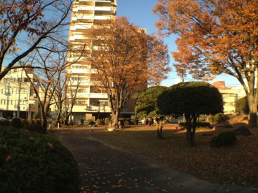 丸の内公園（甲府市）の画像5