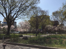 中央公園（甲府市中央）