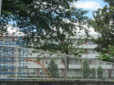 流山市立西深井小学校の画像2