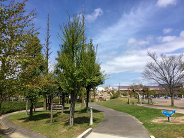 五個荘中央公園の画像2
