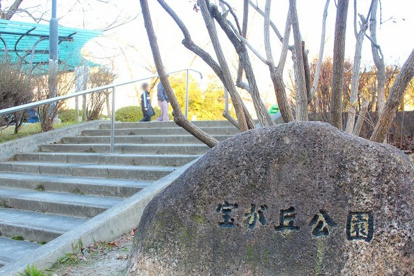 公園の画像1
