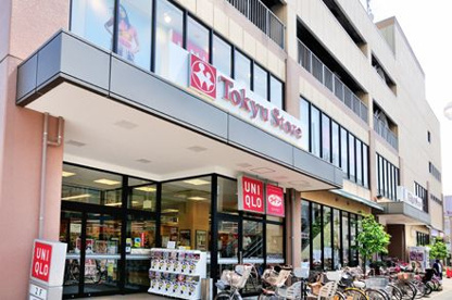 上池台東急ストア情報ページ|ひまわり土地建物は仲介手数料無料!