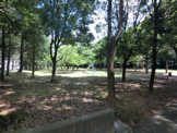 日吉台中央公園