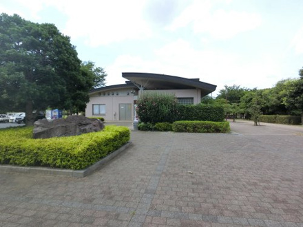 公園 公津公園