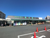 （株）タイヨー 酒々井店