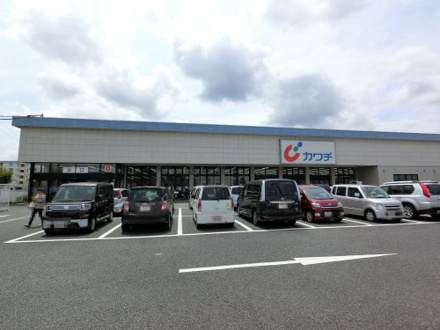  カワチ薬品 成田ニュータウン店