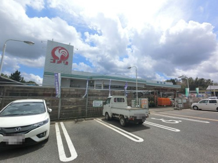 コメリハード&グリーン 大栄店