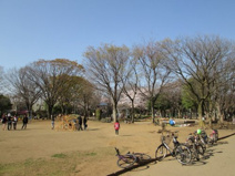 青葉台公園